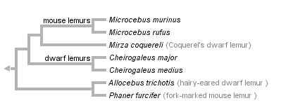 taxon links