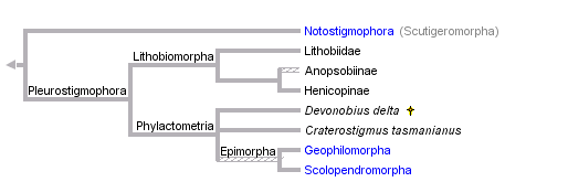 taxon links