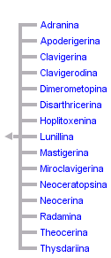 taxon links