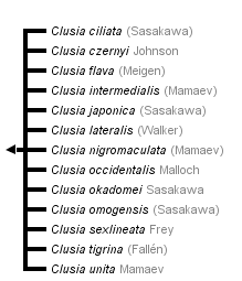 taxon links