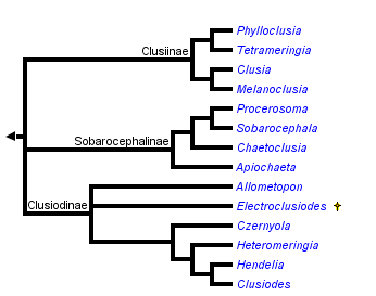 taxon links