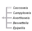 taxon links