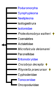 taxon links