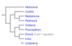 taxon links