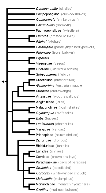 taxon links