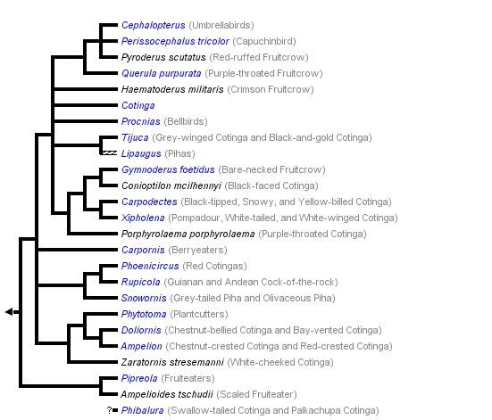 taxon links