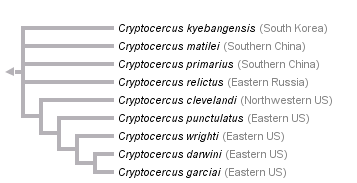 taxon links