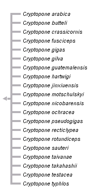 taxon links