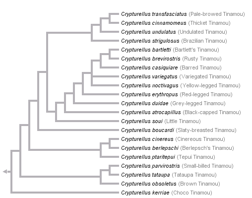 taxon links