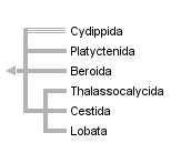 taxon links