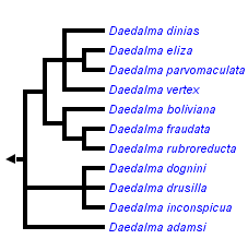 taxon links