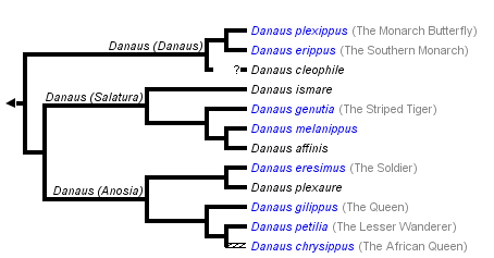 taxon links