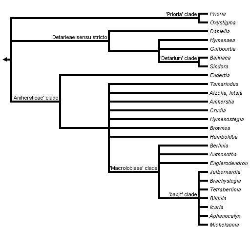 taxon links