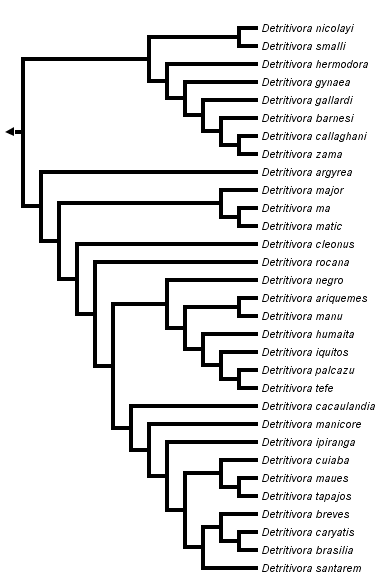 taxon links