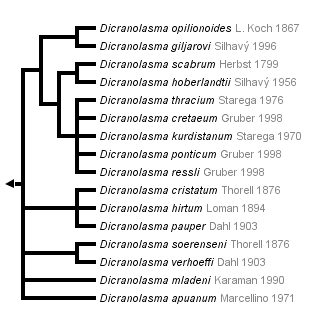 taxon links