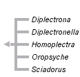 taxon links