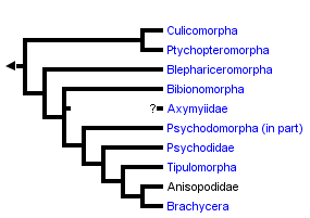 taxon links