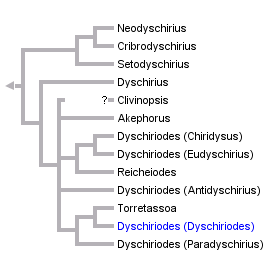 taxon links