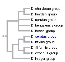 taxon links