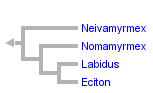 taxon links