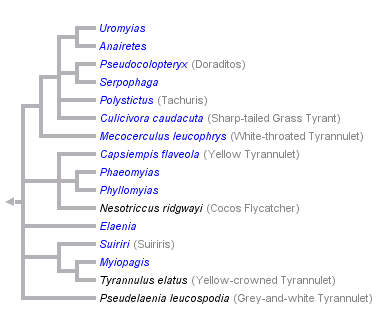 taxon links