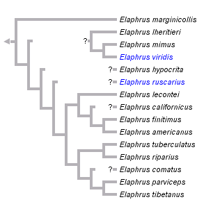 taxon links