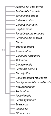 taxon links