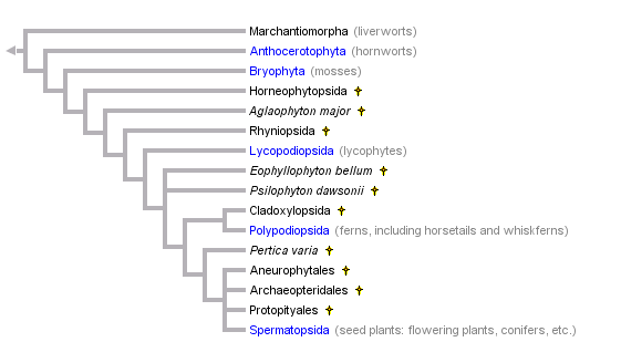 taxon links