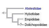 taxon links