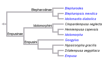 taxon links