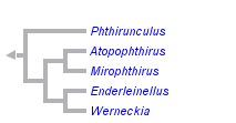 taxon links