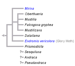 taxon links