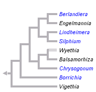 taxon links