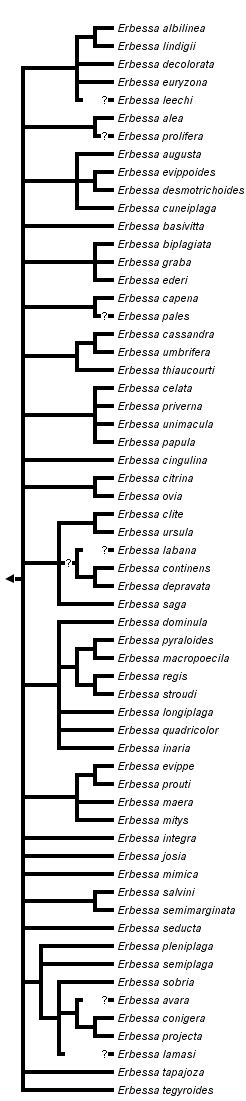 taxon links