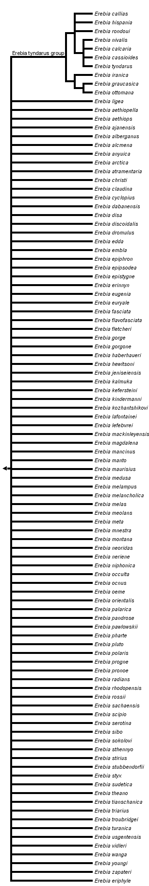 taxon links