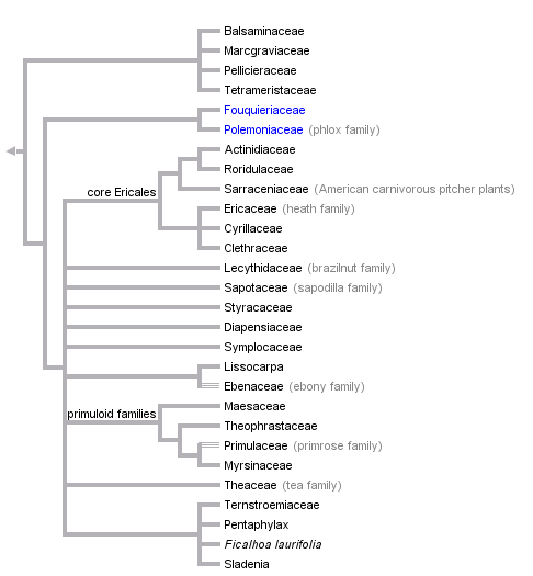 taxon links