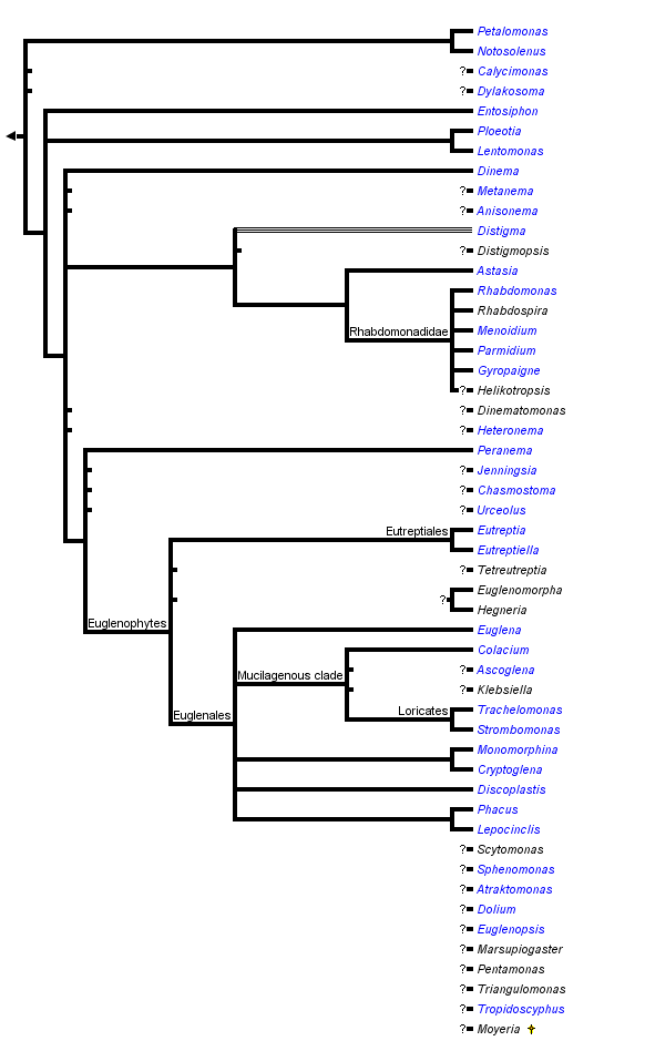 taxon links