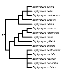 taxon links