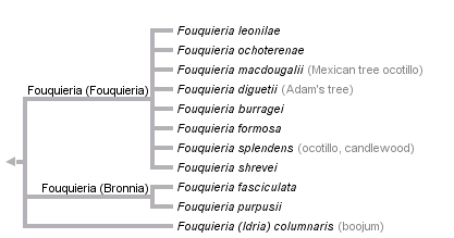 taxon links