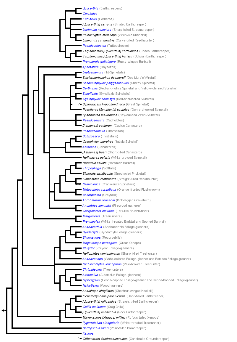 taxon links