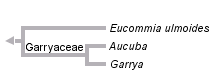 taxon links