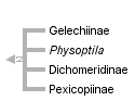 taxon links