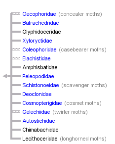 taxon links