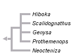 taxon links