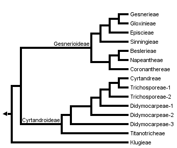 taxon links