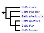 taxon links