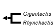 taxon links