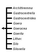 taxon links