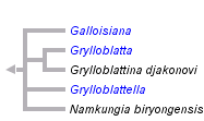 taxon links