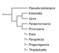 taxon links